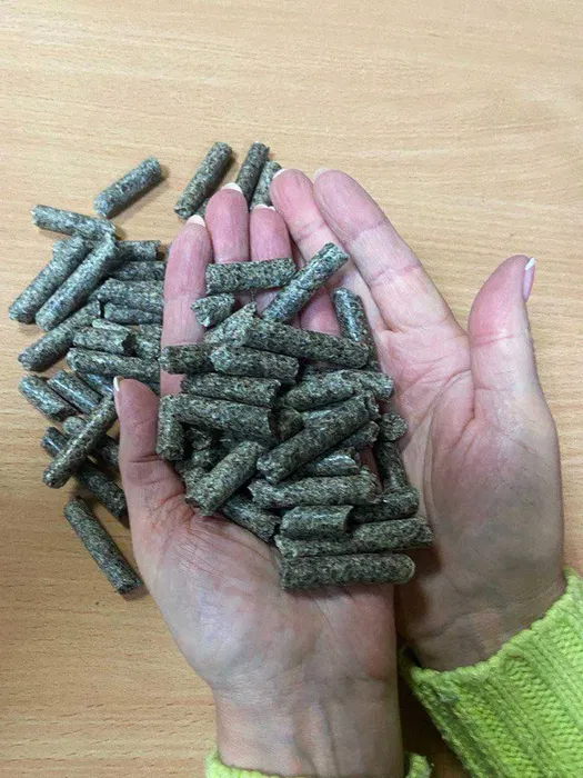 Wysłodki buraczane 2 image1