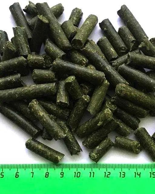 Lucerna granulowana 2 Lucerna granulowana2