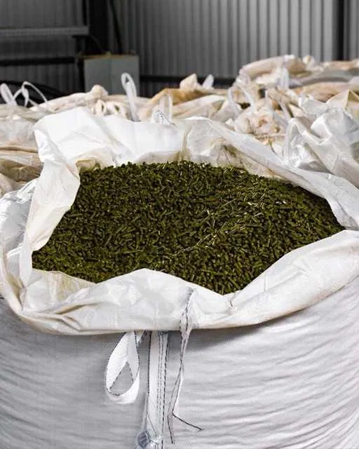 Lucerna granulowana 4 Lucerna granulowana3