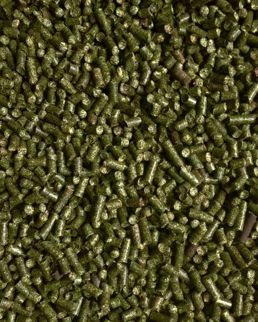 Lucerna granulowana 3 Lucerna granulowana4