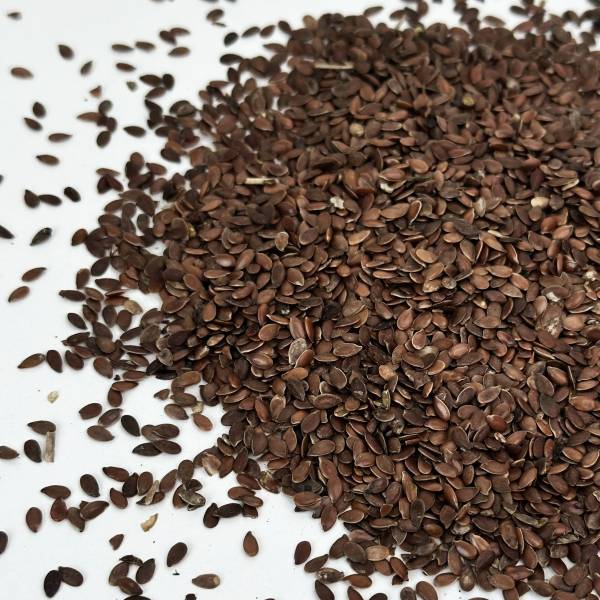 Graines de lin brunes - image 2