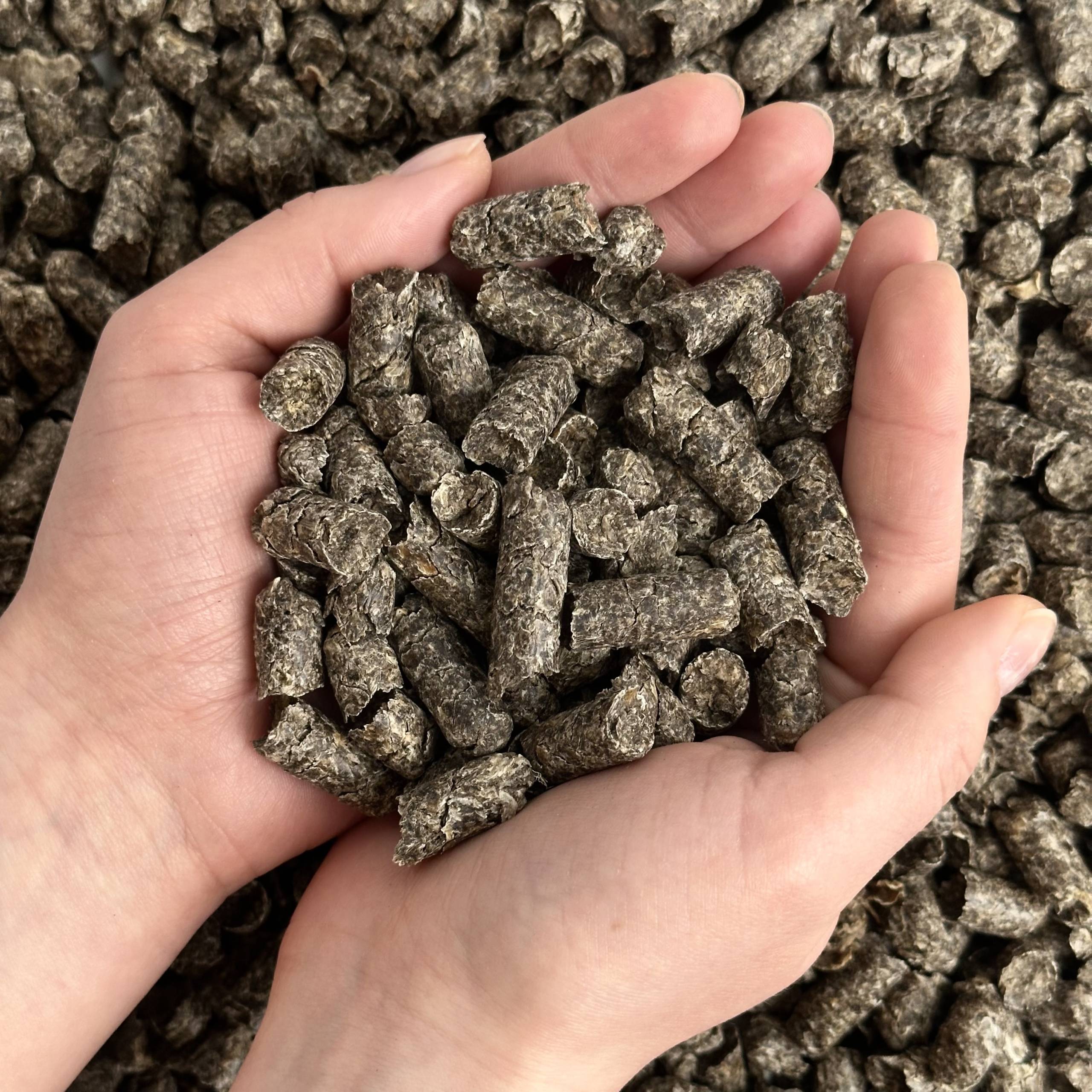 Wysłodki buraczane granulowane - obrazek 4