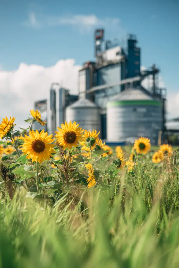 leovas818_ultra_realistic_vertical_photo_for_corporate_website__be56efc8-9d46-411d-b2bd-39bdfdcfc226